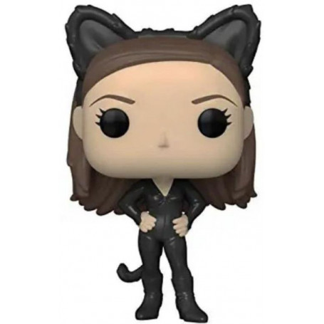 Friends - Monica As Catwoman Pop!