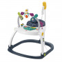 Fisher Price Jumperoo