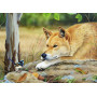 HOLDSON ALL CREATURES 1000pc DINGO