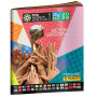 2023 FIFA Women World Cup Sticker Album
