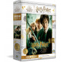 Harry Potter 1000Pce Puzzle Assorted