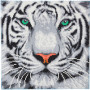 Crystalart - White Tiger, 30X30cm Kit