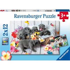 Ravensburger - Cute Little Furballs 2X12Pc
