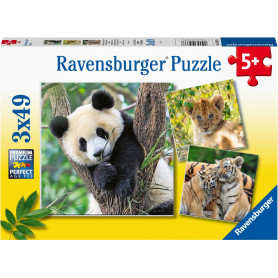 Ravensburger - Panda Lion And Tiger 3X49Pc