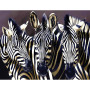 Zebras Wooden Widget Puzzles