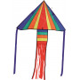 Rainbow Delta Kite Fibre Glass Single Handle 151cm X 100cm