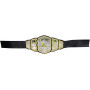 AEW Roleplay – Championship Belt