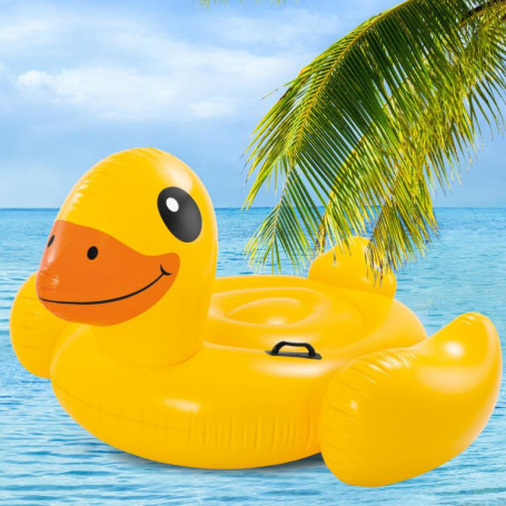 Intex Duck Ride-On Randomly Assorted Afterpay Available!