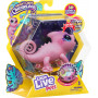 LITTLE LIVE PETS LIL' CHAMELEON S2 SINGLE PACK