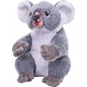Artist Collection Koala