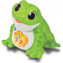 VTech Hoppin' Boppin' Froggy