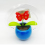 Solar Flowers Assorted 10.5cm