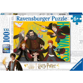 Rburg - Harry Potter and other Wizards 100pc