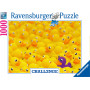 Rburg - Rubber ducks 1000pc