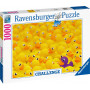 Rburg - Rubber ducks 1000pc