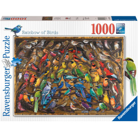 Rburg - Rainbow of Birds 1000pc