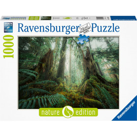 Rburg - In the Forest 1000pc