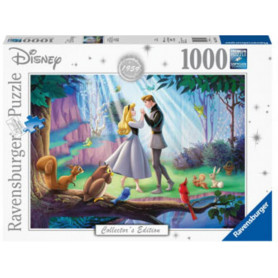 Rburg - Disney Sleeping Beauty Moments 1000pc