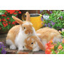 Rburg - Guinea Pigs & Bunnies Puzzle 2x12pc