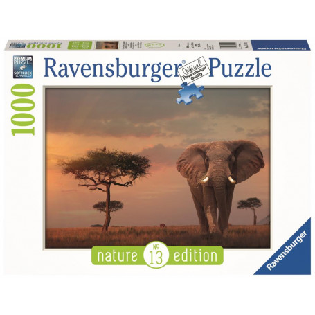 Rburg - Elephant of the Massai Mara 1000pc