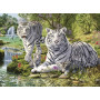 Rburg - White Cat Puzzle 500pc