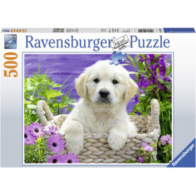 Ravensburger - Sweet Golden Retriever Puzzle 500pc