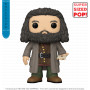 Harry Potter - Hagrid w/Letter 6" Pop!