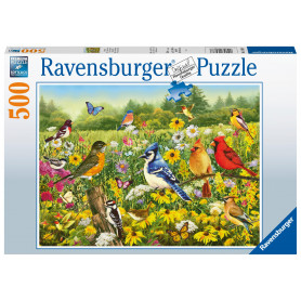 Rburg - Birds in the Meadow 500pc