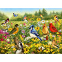 Rburg - Birds in the Meadow 500pc