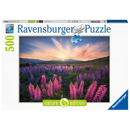 Rburg - Lupines 500pc