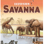 Ecosystem: Savanna