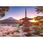 Rburg - Mount Fuji Cherry Blossom View 1000pc