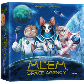 MLEM Space Agency