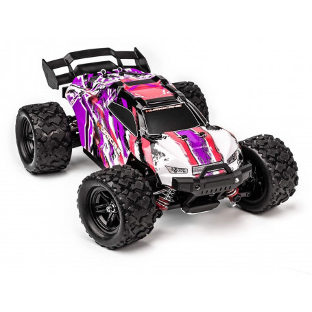 Tornado RC 1/18 4WD RTR High speed truck 2.4g Body