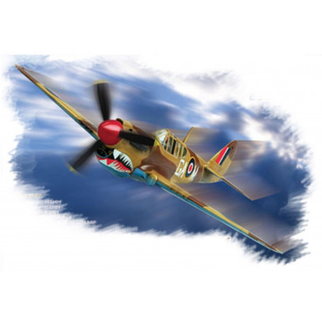 HobbyBoss 1/72 P-40M "Kitty hawk" Plastic Model Kit [80251]