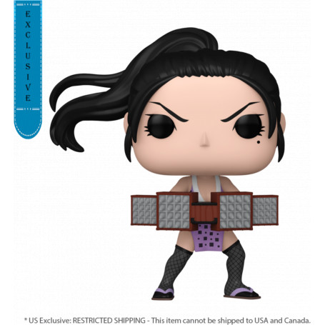 Demon Slayer - Hinatsuru  Pop! RS