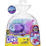 (BCAP2) LITTLE LIVE PETS LIL' DIPPERS S3 SINGLE PACK ASSORTED