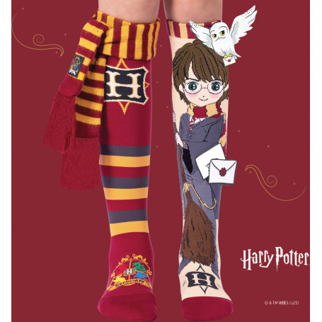 Harry Potter Socks 6-99