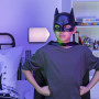 Batman Hero Mask Asst