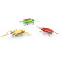 HEXBUG - Nano Real Bugs - 3PK Asstd