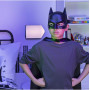 Batman Hero Mask Asst