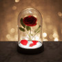 BEAUTY AND THE BEAST - ENCHANTED ROSE LIGHT