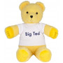 BIG TED PLUSH 40cm