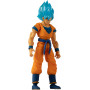 DRAGON BALL  DBS EVOLVE SUPER SAIYAN BLUE GOKU