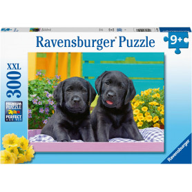 Rburg - Puppy Life Puzzle 300pc