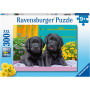 Rburg - Puppy Life Puzzle 300pc