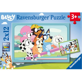 Rburg - Fun with Bluey 2x12pc