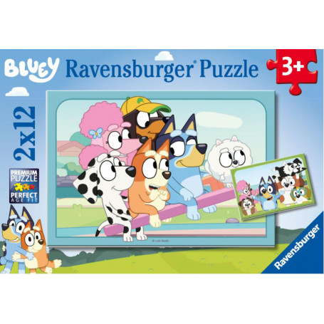 Rburg - Fun with Bluey 2x12pc