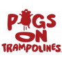 PIGS ON TRAMPOLINES