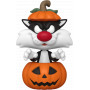 Looney Tunes: Halloween - Sylvester in Pumpkin Pop!